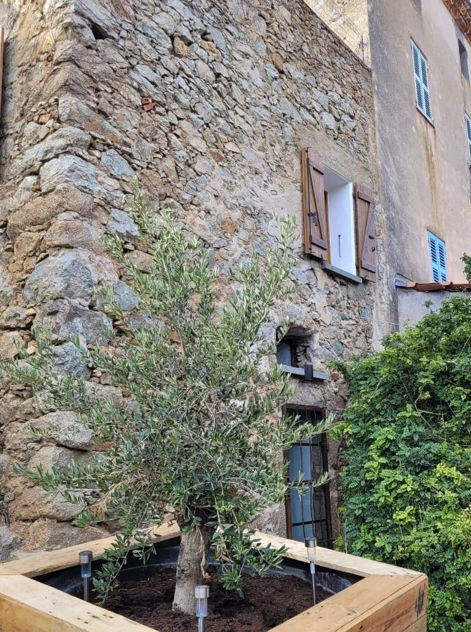 The Cosy Home Corbara By 1722 Εξωτερικό φωτογραφία