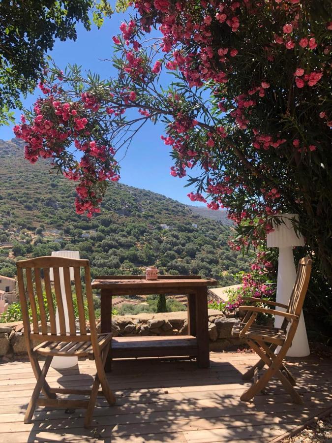 The Cosy Home Corbara By 1722 Εξωτερικό φωτογραφία